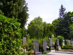 Stadtrundfahrt mit Friedhofsführung