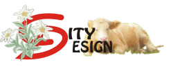 Wiener Webdesign Firma
