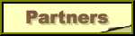 Partners on the Web