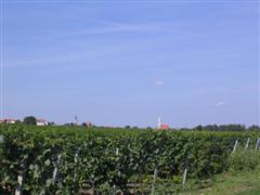 Foto aus dem Burgenland