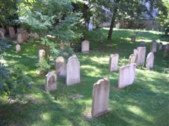 Foto Wiener jüdischer Friedhof Seegasse