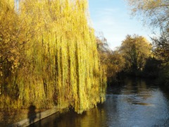 Foto Bruck an der Leitha