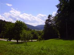 Foto Wienerwald