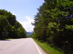 Foto Wienerwald