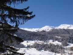 Foto aus dem südtiroler Vinschgau
