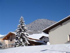 Ein Foto aus Tirol