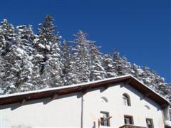 Ein Foto aus Tirol