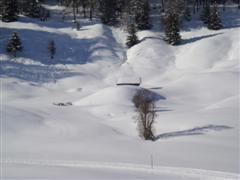 Ein Foto aus Tirol